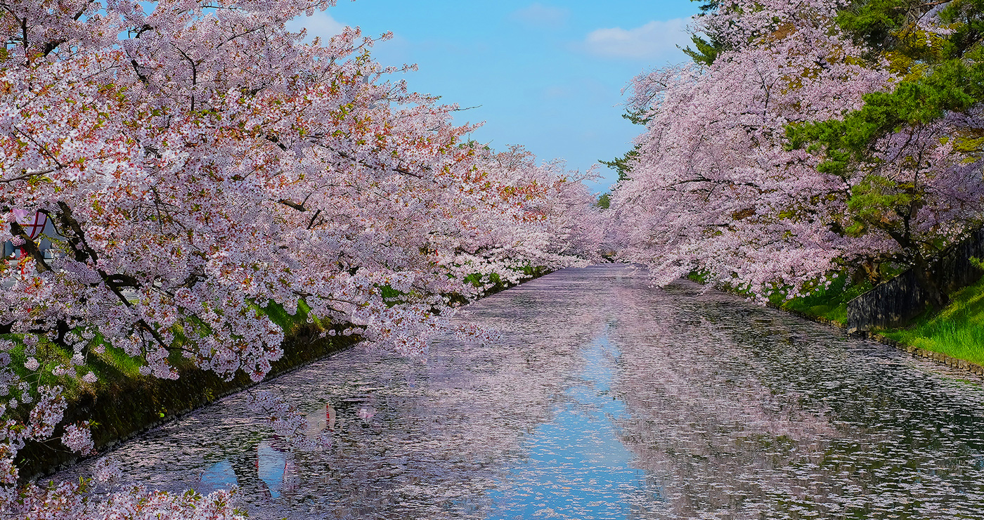 WORLD LUXURY JAPAN | J World Travel Japanese Spring landscape