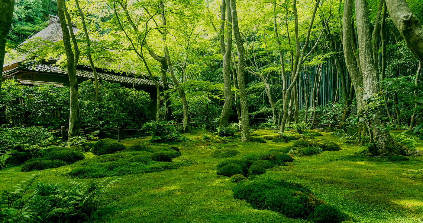 WORLD LUXURY JAPAN | J World Travel Japanese Summer landscape