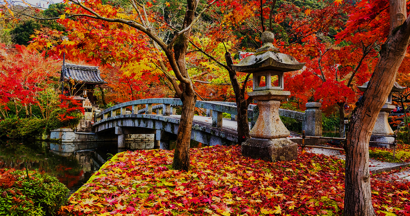 WORLD LUXURY JAPAN | J World Travel Japanese Autumn landscape